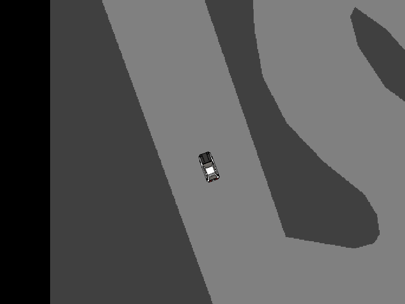 human