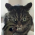 Avatar for sda0 from gravatar.com