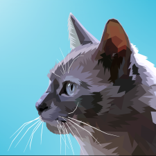Avatar for boatonboat from gravatar.com