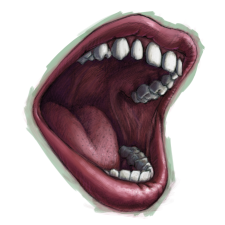 Avatar for Mark Story from gravatar.com