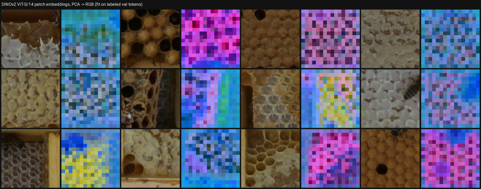 DINOv2 PCA maps