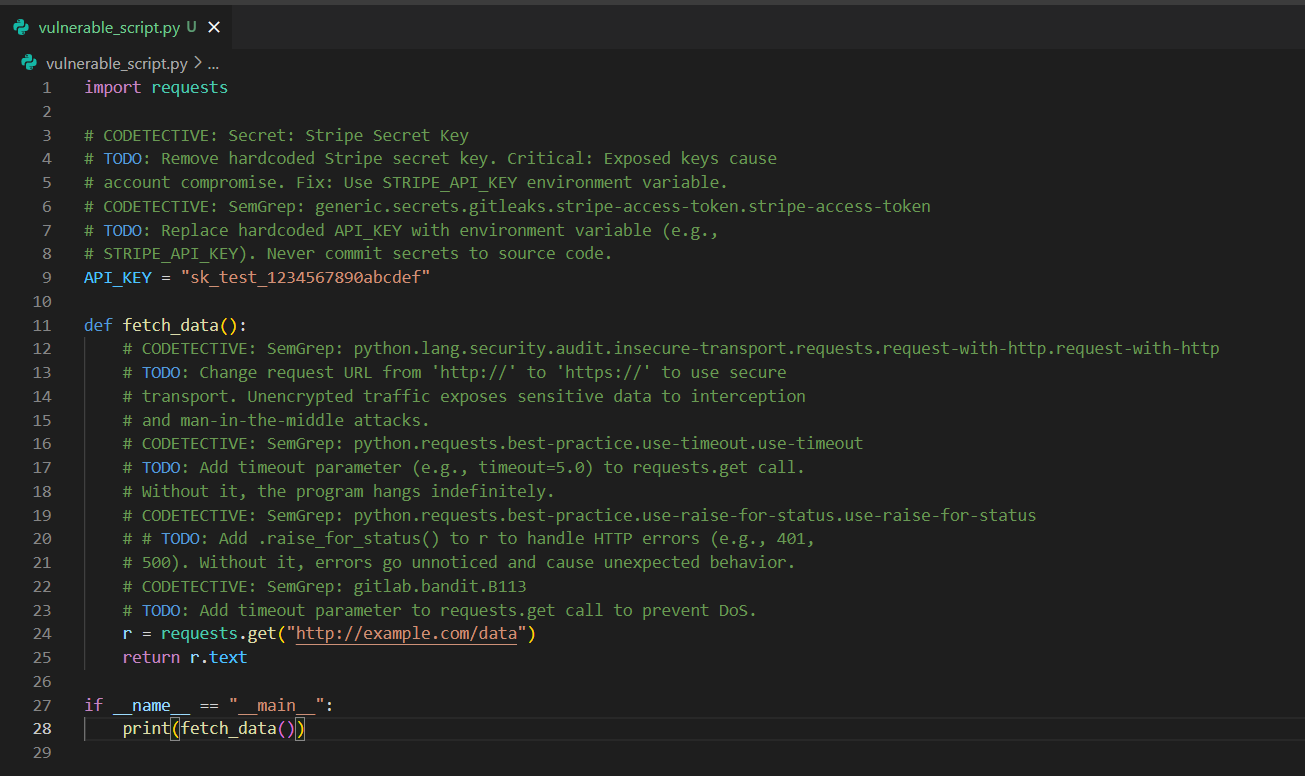 commented_vulnerable_script_py
