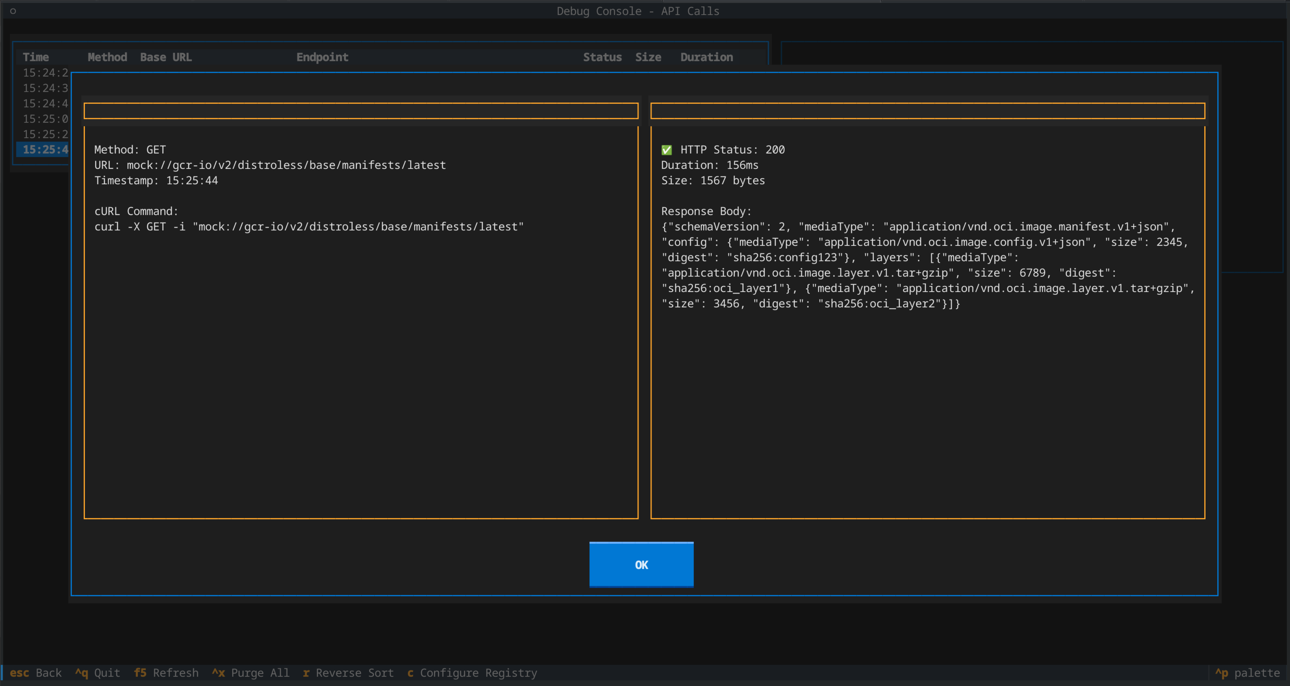 API Call Detail Modal