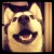 Avatar for david-lee from gravatar.com
