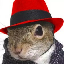 Avatar for Anthony from gravatar.com