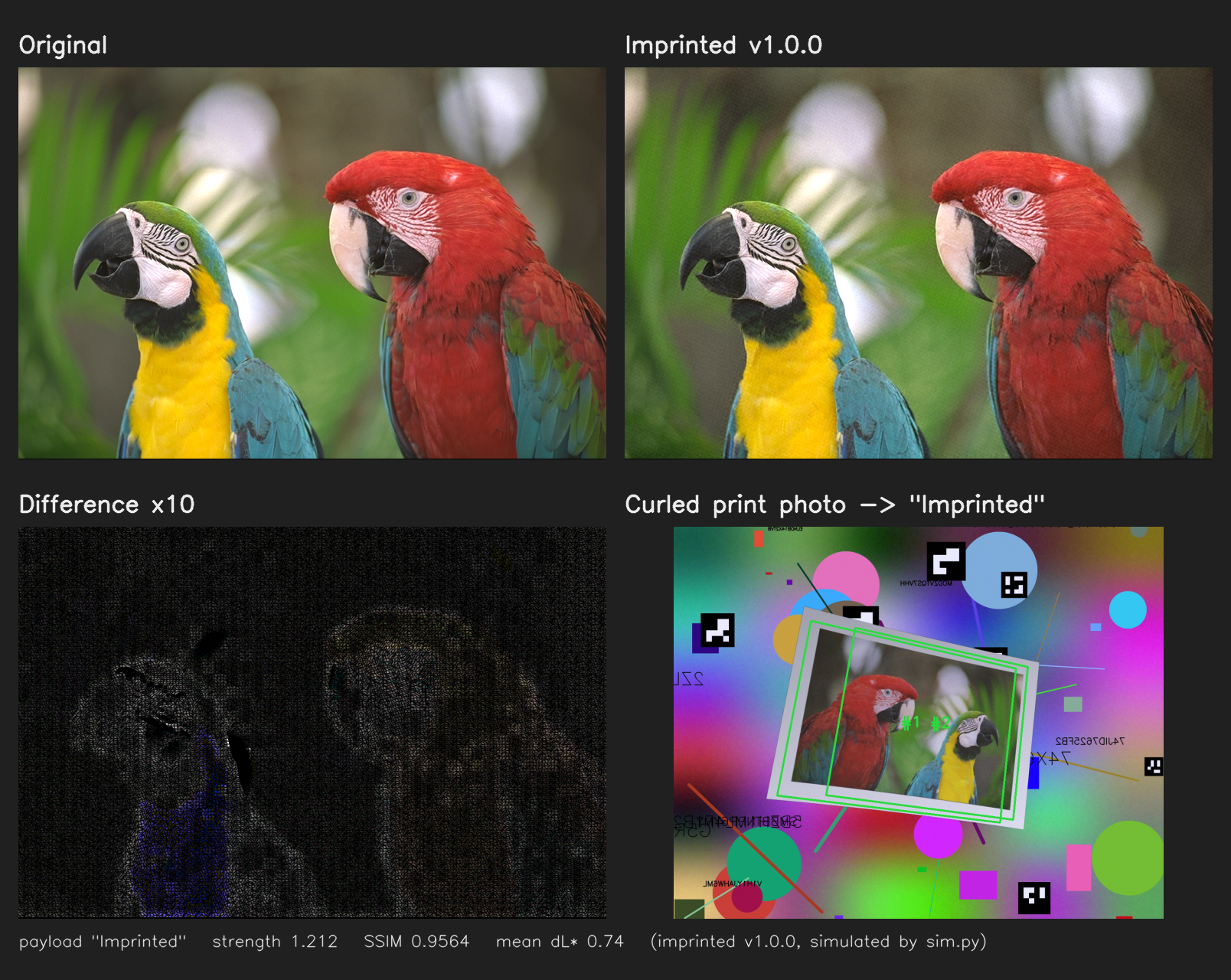 Original, Imprinted, ×10 difference, and a simulated phone photo of a curled print decoding the payload