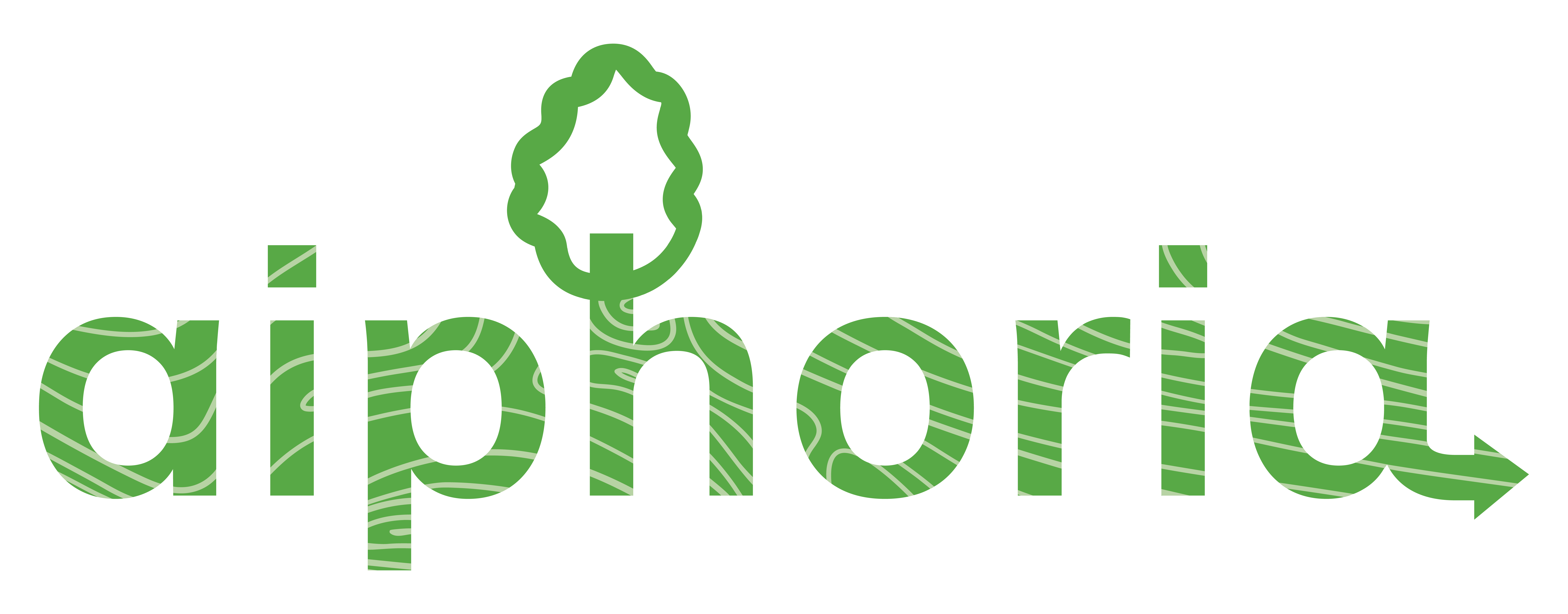 aiphoria logo