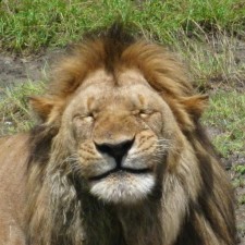 Avatar for Lukasz Lew from gravatar.com