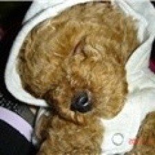 Avatar for 黄晓俊 from gravatar.com