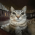 Avatar for Plugin from gravatar.com