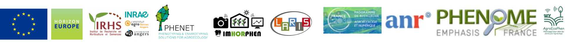 445202004-4a110408-5854-4e8c-b655-4cb588434b79