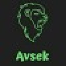 Avatar for Abhishek Ghorashainee from gravatar.com