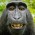 Avatar for jsobel1 from gravatar.com