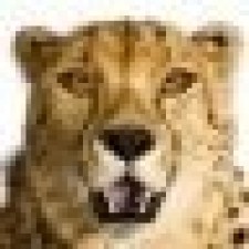 Avatar for Samuel Yip from gravatar.com