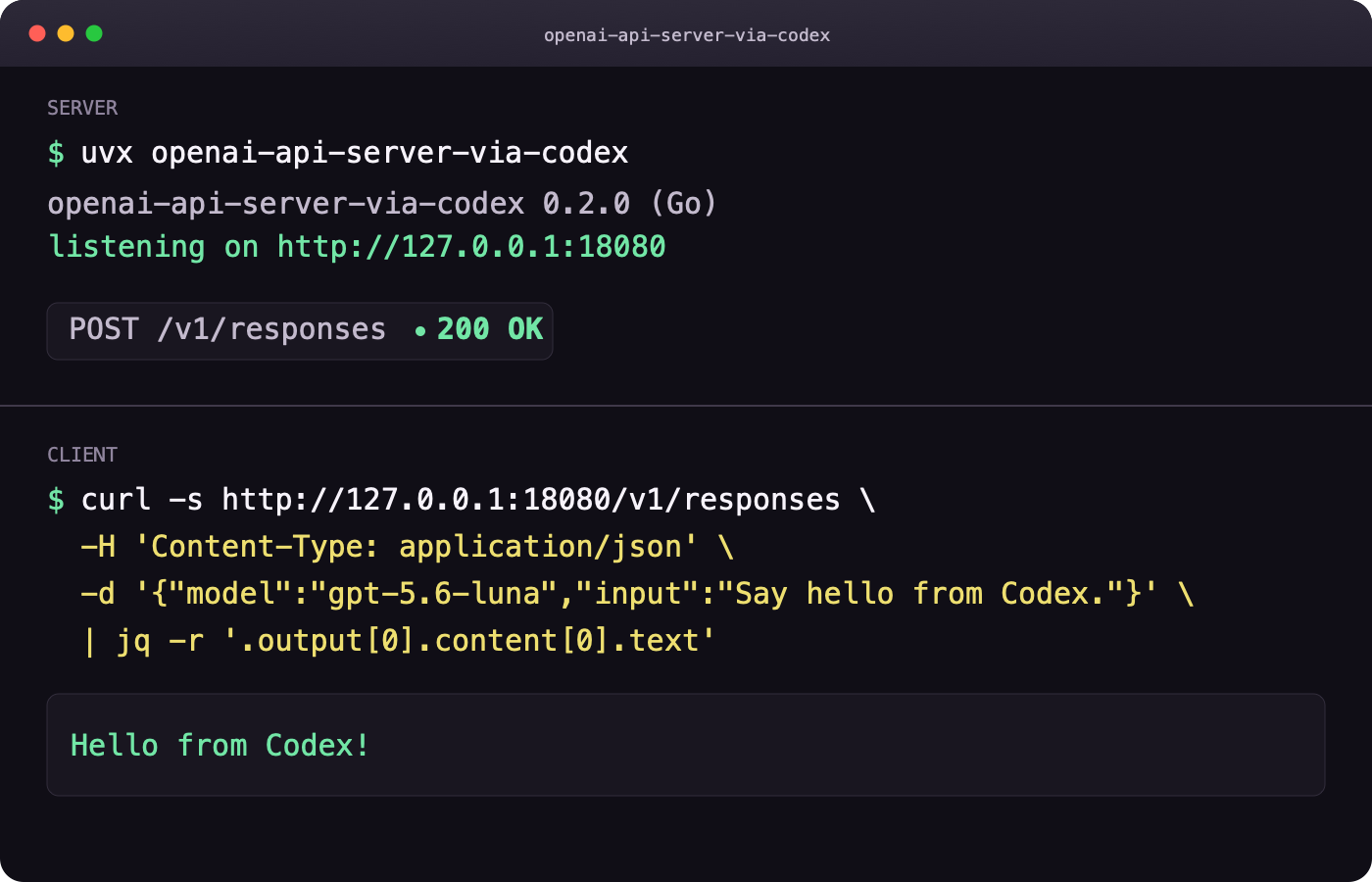 Start the Go server with uvx, then call the OpenAI-compatible Responses API