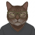 Avatar for heliopais from gravatar.com