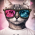 Avatar for JosheGatito from gravatar.com