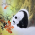 Avatar for hungle00 from gravatar.com