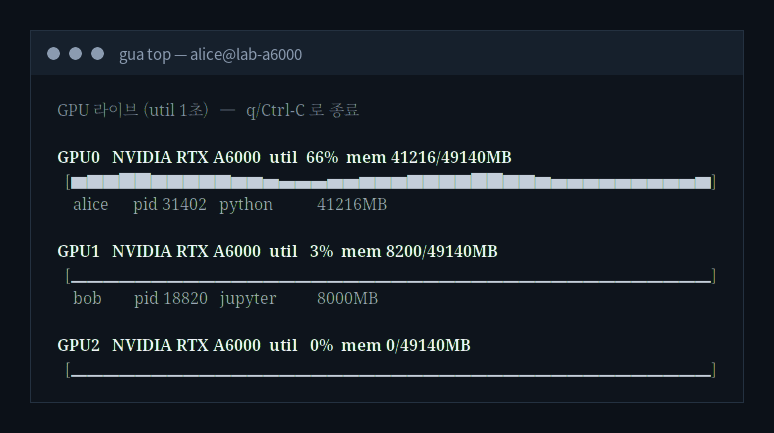 gua top — live local GPU view