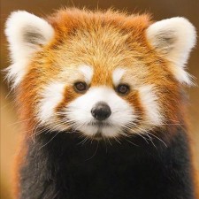 Avatar for Junda Li from gravatar.com