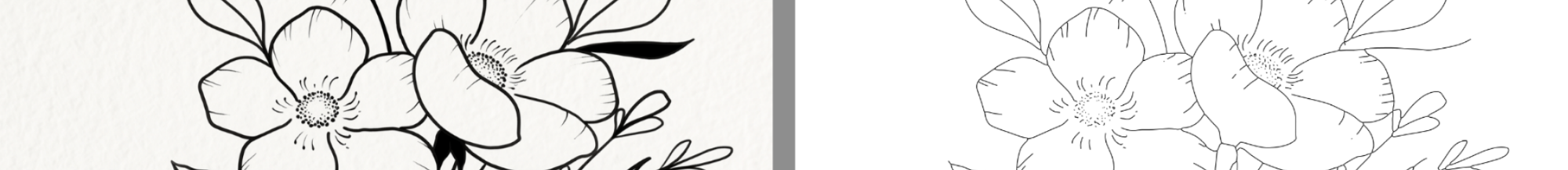 Drawing Zoom