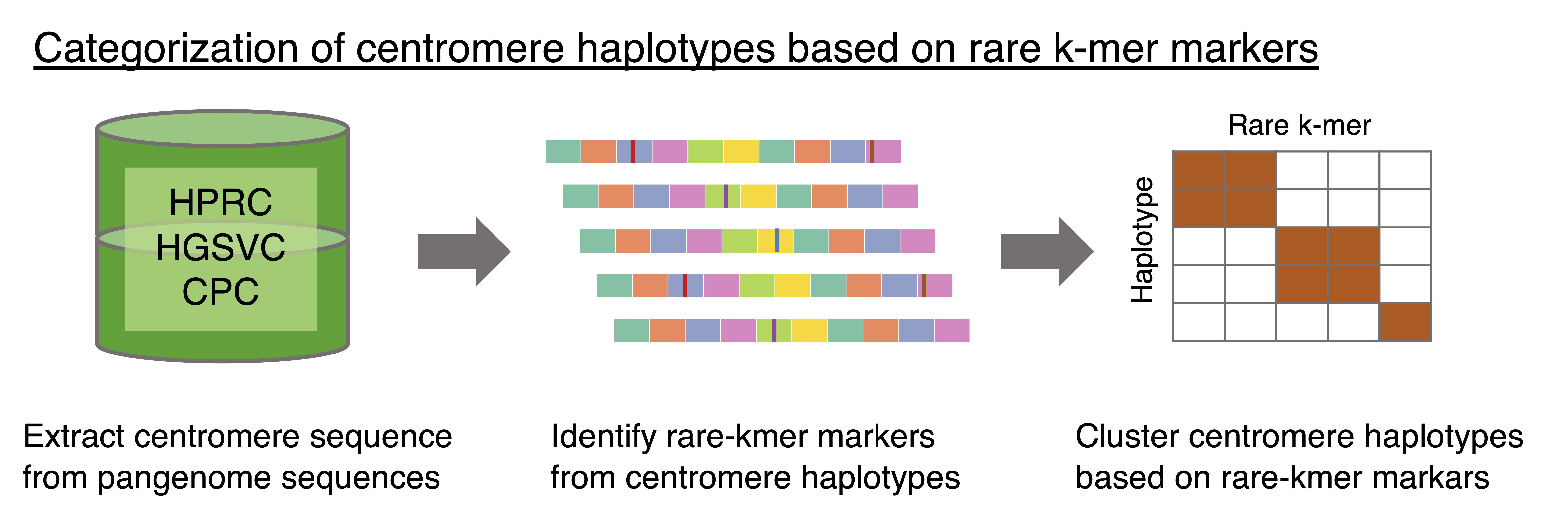 Rare k-mer based classification of centromere haplotypes