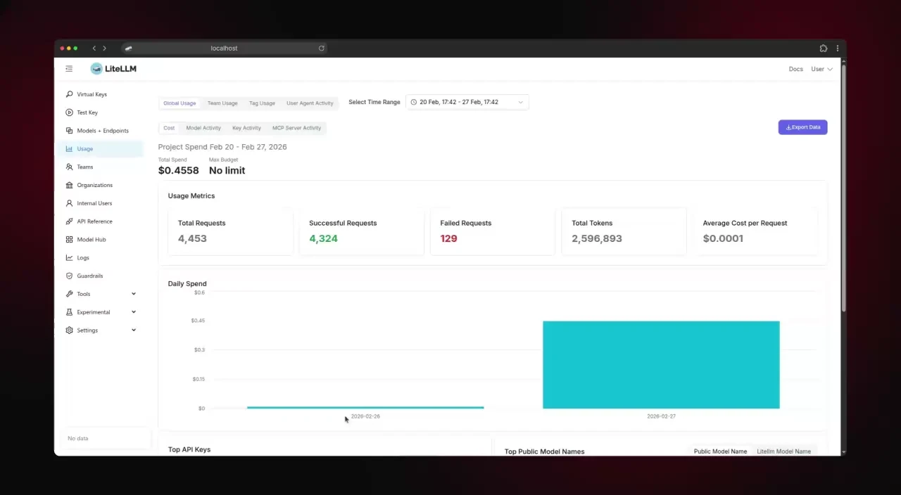 LiteLLM cost control demo