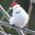 Avatar for DigiBugCat from gravatar.com