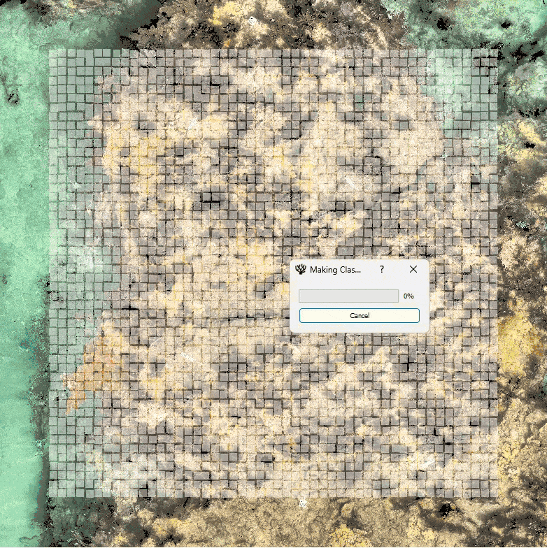 Patch-based LAI Classification