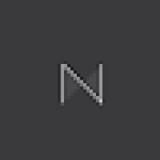 Avatar for Nicol Visser from gravatar.com