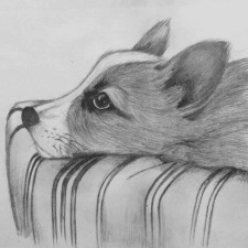 Avatar for FutureDreams from gravatar.com