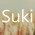 Avatar for SukiCZ from gravatar.com