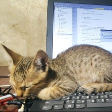 Avatar for Sudip Bhattarai from gravatar.com