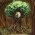 Avatar for becketta from gravatar.com