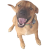 Avatar for deisterhold from gravatar.com