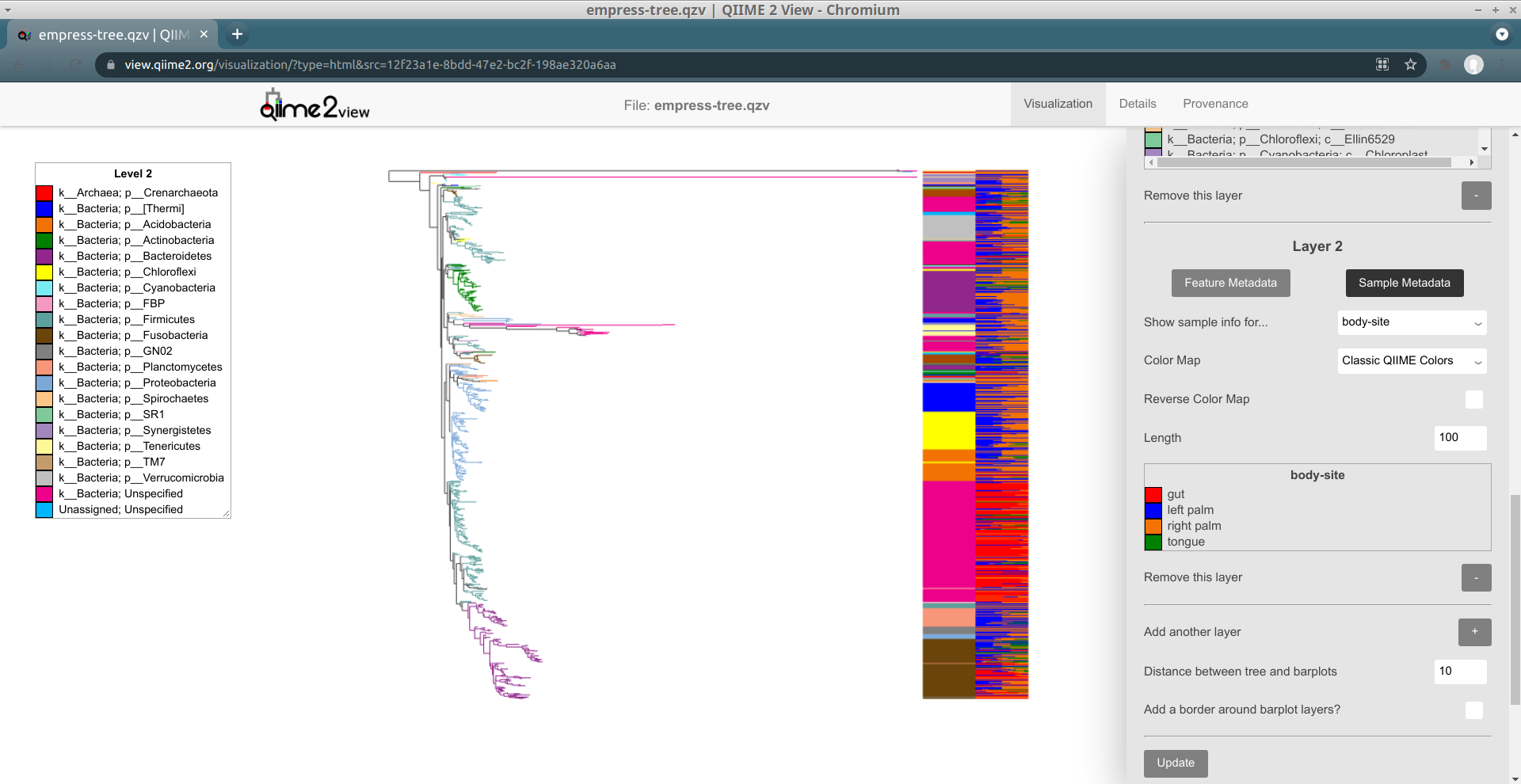 empress barplots: class coloring layer 1, bodysite layer 2, and tree phylum coloring