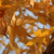 Avatar for deltaf from gravatar.com
