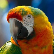 Avatar for Egor from gravatar.com