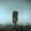 Avatar for pyfionn from gravatar.com