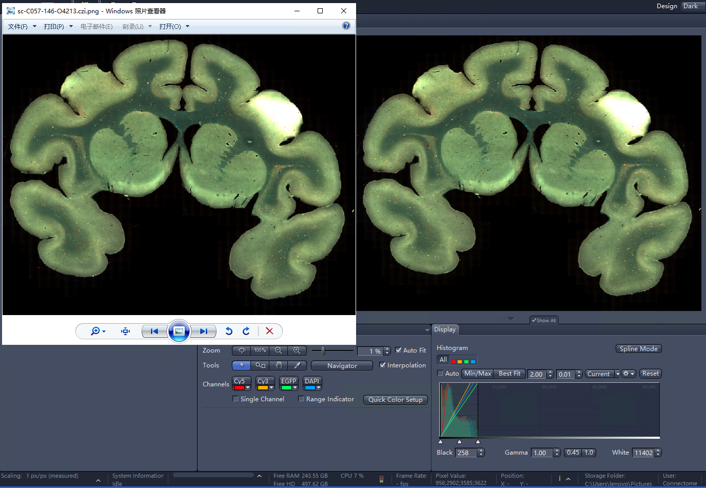 Comparison Result