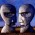 Avatar for vittoriomussin from gravatar.com