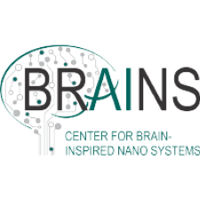 Avatar for Brains, Nano Electronics, University of Twente from gravatar.com