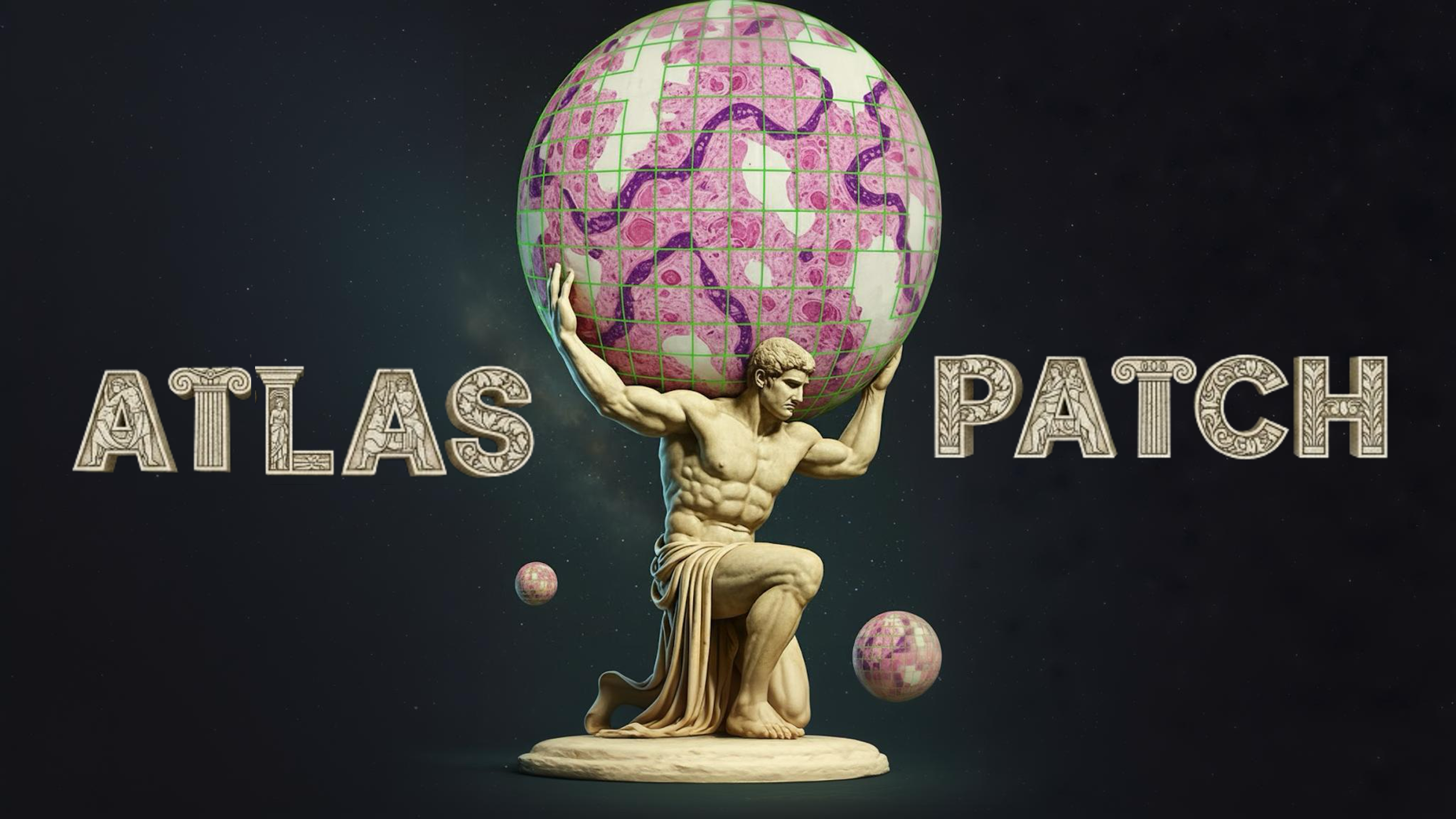 AtlasPatch Logo
