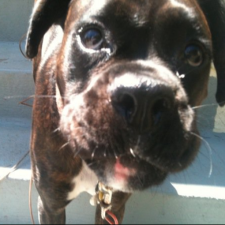 Avatar for workingBen from gravatar.com