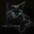 Avatar for TimoHo from gravatar.com