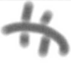 Avatar for campbel from gravatar.com