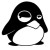 Avatar for sohaibafifi from gravatar.com