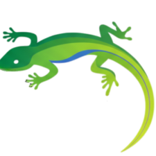 Avatar for GeoWGS84 Geospatial Solutions from gravatar.com