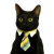 Avatar for rimtzg from gravatar.com