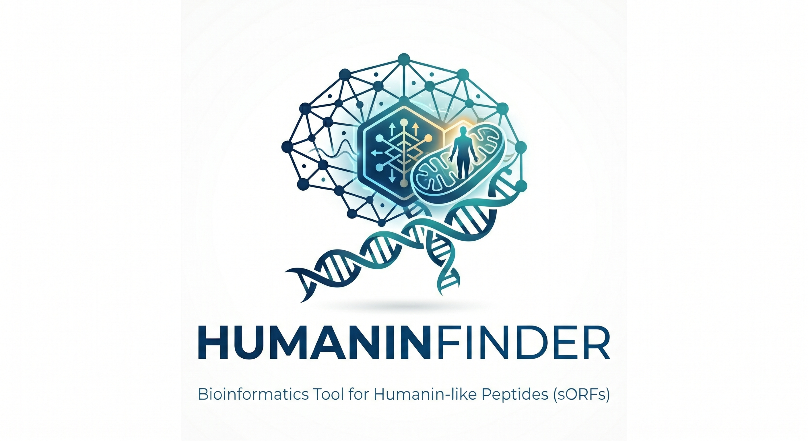 HumaninFinder Logo